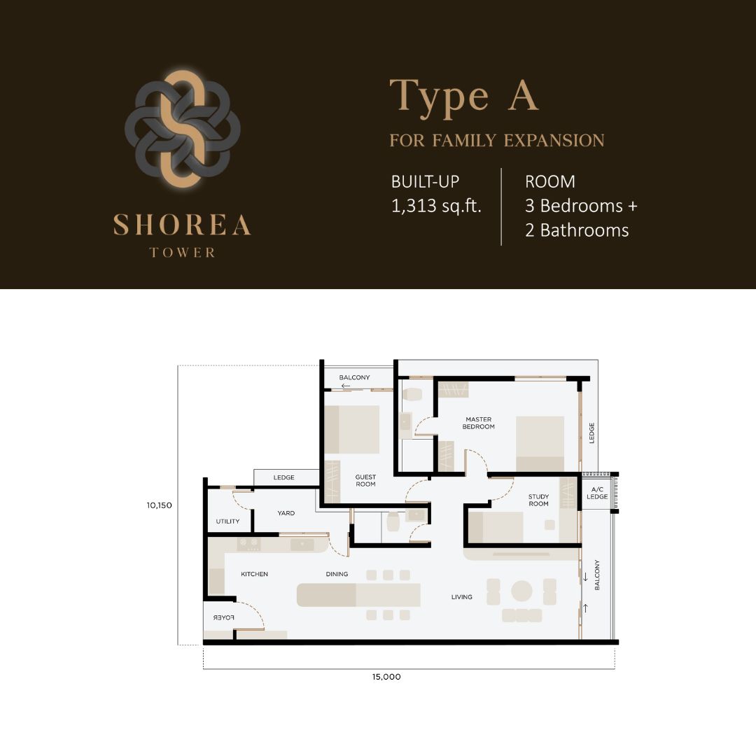 Shorea - Type A