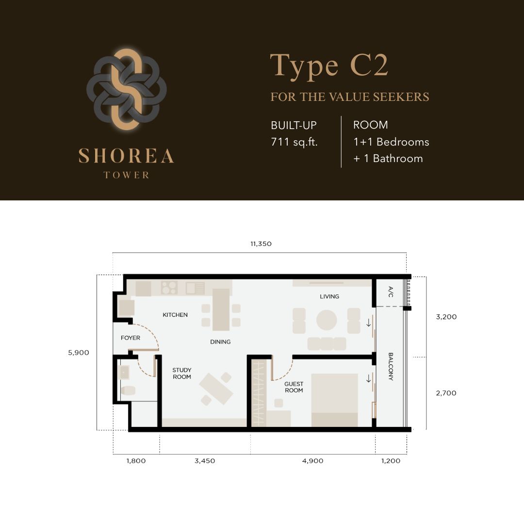 Shorea - Type C2