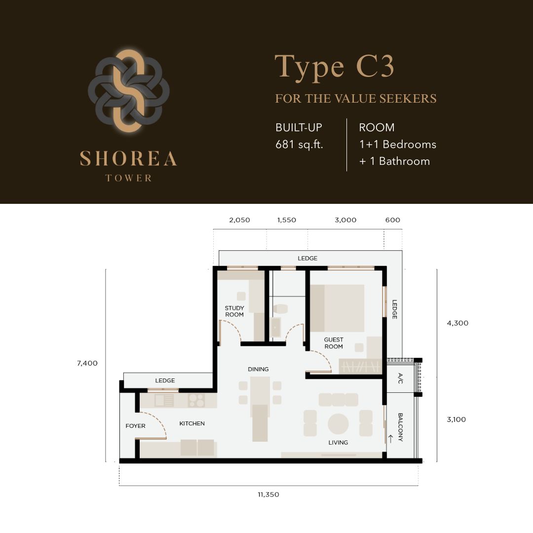 Shorea - Type C3