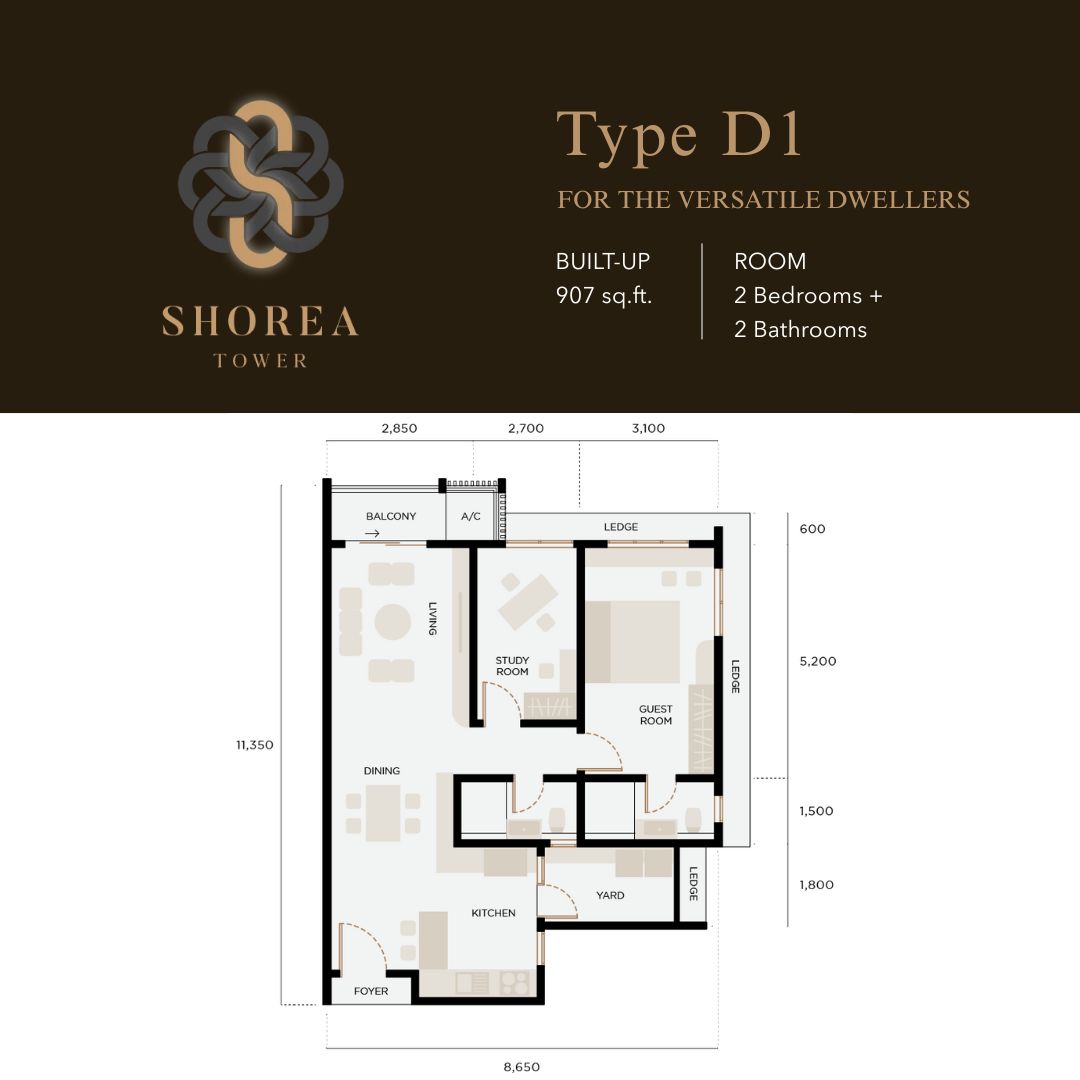 Shorea - Type D1