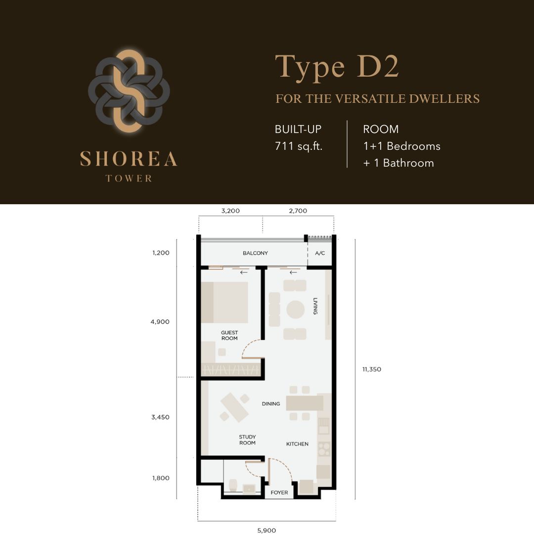 Shorea - Type D2