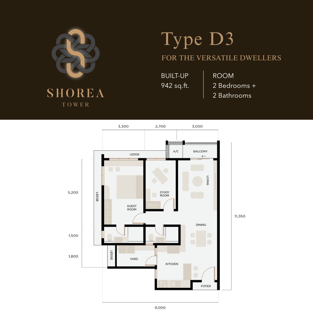 Shorea - Type D3